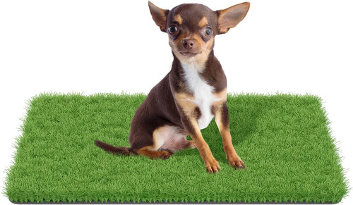 Fake grass for dogs - for,